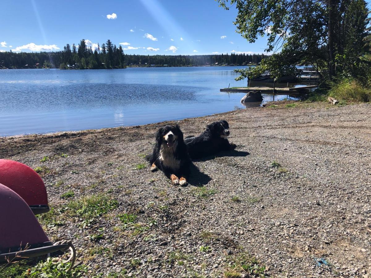 Beaver Guest Ranch Bridge Lake Eksteriør bilde